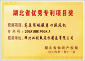 Excellent Patent Project Award of Hubei Province